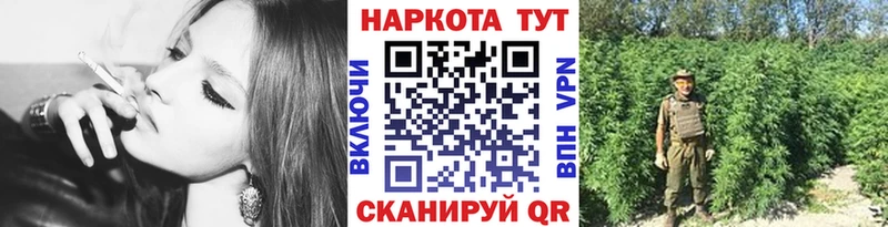 Где можно купить наркотики Наволоки COCAIN Меф Гашиш гидра вход Конопля