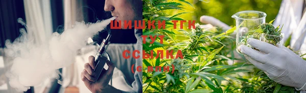 ешки Алзамай