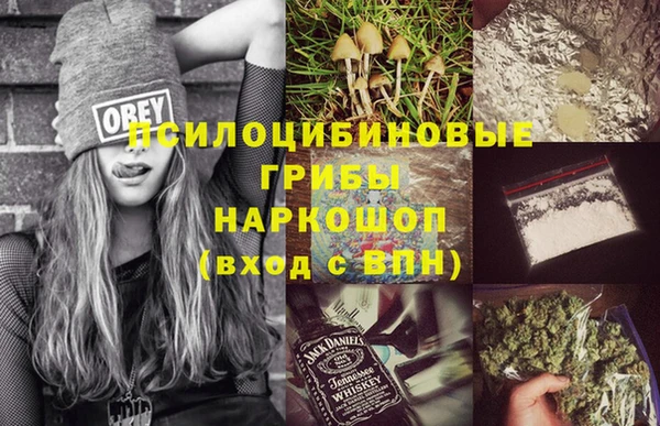 ешки Алзамай