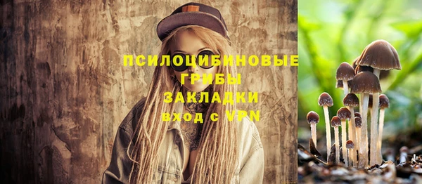 ешки Алзамай