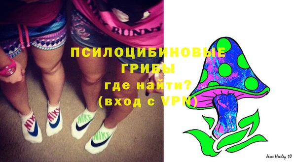 МДПВ Алексеевка