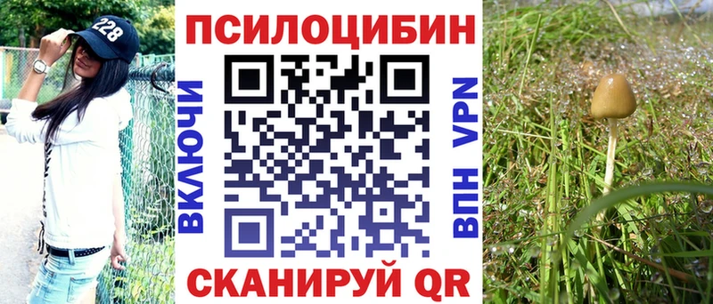 Галлюциногенные грибы прущие грибы  сколько стоит  Наволоки 