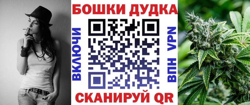kraken как войти  Наволоки  Шишки марихуана гибрид 